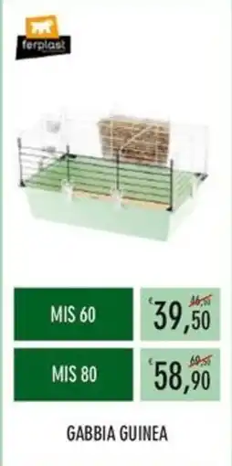 Moby Dick Gabbia guinea offerta