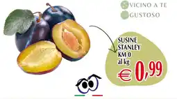 Centro Oceano Susine Stanley offerta