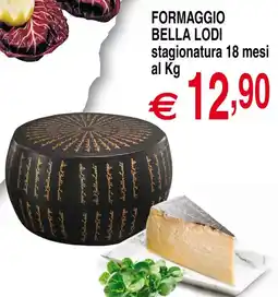 Centro Oceano Formaggio Bella Lodi offerta