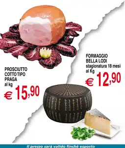 Centro Oceano Formaggio Bella Lodi offerta