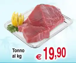 Centro Oceano Tonno offerta