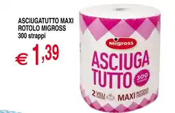 Centro Oceano Asciugatutto maxi Migross offerta