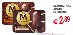 Centro Oceano Magnum Algida assortiti offerta