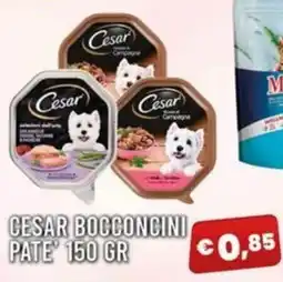 Angel Mercatone Cesar bocconcini pate' offerta