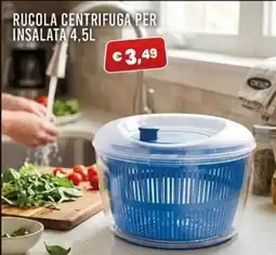 Angel Mercatone Rucola centrifuga per insalata offerta
