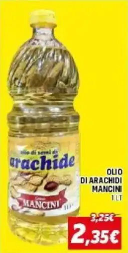 Orizzonte Olio di semi di arachide Mancini offerta