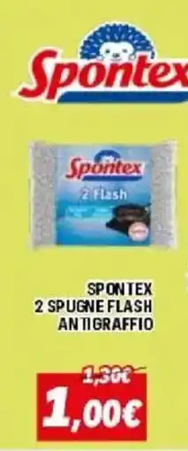 Orizzonte Spontex 2 spugne flash antigraffio offerta