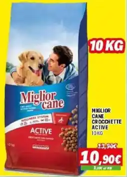 Orizzonte Miglior cane crocchette active offerta
