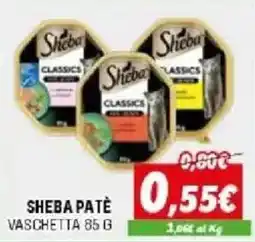 Orizzonte Sheba Patè offerta