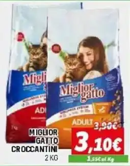 Orizzonte Miglior gatto croccantini offerta