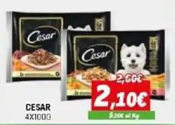 Orizzonte Cesar offerta