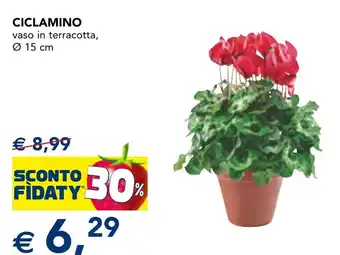 Ciclamino