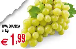 Centro Oceano Uva bianca offerta
