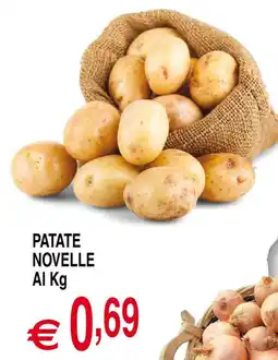Centro Oceano Patate novelle offerta