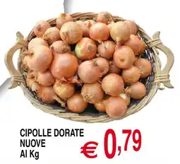 Centro Oceano Cipolle dorate nuove offerta
