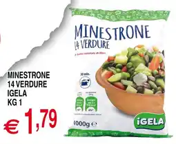 Centro Oceano Minestrone 14 verdure Igela offerta