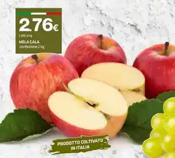 Superconti Mela Gala offerta