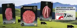 Ipercoop Linea bovino adulto Aberdeen Black Angus offerta