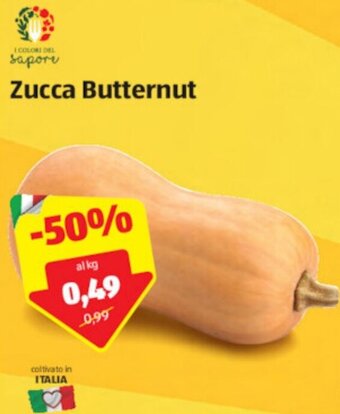 ALDI Zucca Butternut offerta