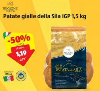 ALDI Patate gialle della Sila IGP 1,5 kg offerta