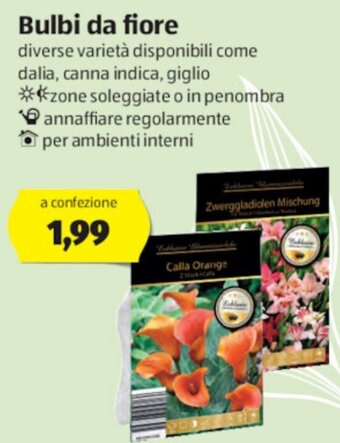 ALDI Bulbi da fiore offerta