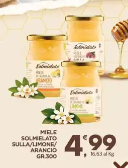 Eurospar MIELE SOLMIELATO SULLA/LIMONE/ARANCIO GR.300 offerta