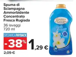 Carrefour SPUMA DI SCIAMPAGNA AMMORBIDENTE CONCENTRATO FRESCA RUGIADA offerta
