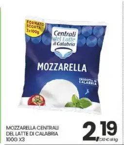 Eurospar MOZZARELLA CENTRALI DEL LATTE DI CALABRIA 100G X3 offerta