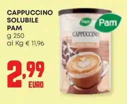 Panorama Cappuccino solubile Pam offerta