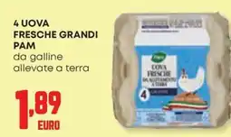 Panorama Uova fresche grandi Pam offerta