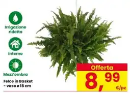 Interspar Felce in Basket offerta