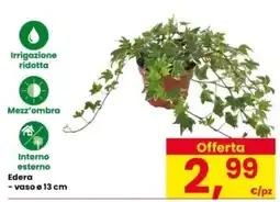 Interspar Edera offerta