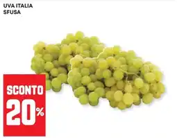 Panorama Uva Italia sfusa offerta