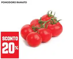 Panorama Pomodoro ramato offerta