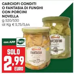 Panorama Fantasia di funghi Novella offerta