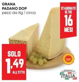 Panorama Grana Padano DOP offerta