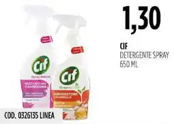 Carico Cash & Carry Cif detergente spray offerta