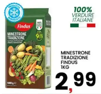 Interspar Minestrone tradizione Findus offerta