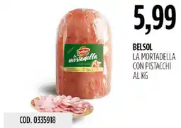 Carico Cash & Carry Belsol la mortadella con pistacchi offerta
