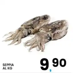 Interspar Seppia offerta