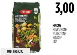 Carico Cash & Carry Findus Minestrone Tradizione offerta