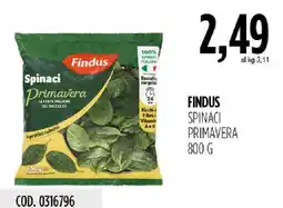 Carico Cash & Carry Findus Spinaci Primavera offerta