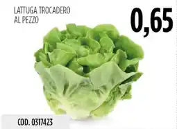 Carico Cash & Carry Lattuga Trocadero offerta