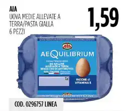 Carico Cash & Carry AIA Uova medie allevate a terra/pasta gialla offerta