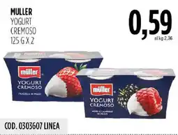 Carico Cash & Carry Müller Yogurt cremoso offerta