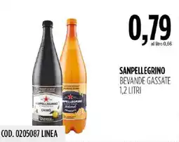 Carico Cash & Carry Sanpellegrino bevande gassate offerta