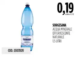 Carico Cash & Carry Sorgesana acqua minerale effervescente naturale offerta