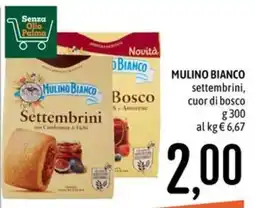 Emisfero Mulino Bianco Settembrini offerta