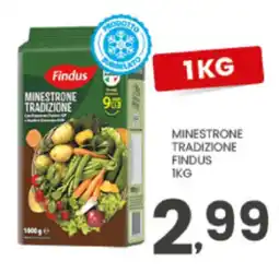 Despar Minestrone tradizione Findus offerta