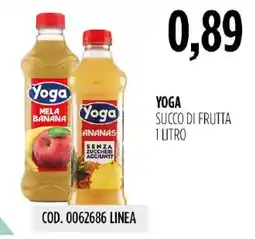 Carico Cash & Carry Yoga succo di frutta offerta